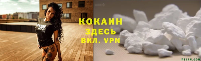 где продают   Долинск  Cocaine VHQ 