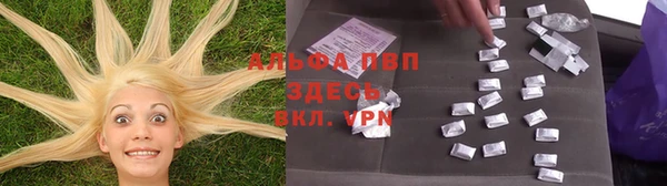 ECSTASY Уссурийск