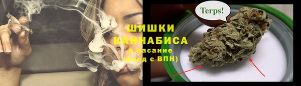 ГАЛЛЮЦИНОГЕННЫЕ ГРИБЫ Новочеркасск