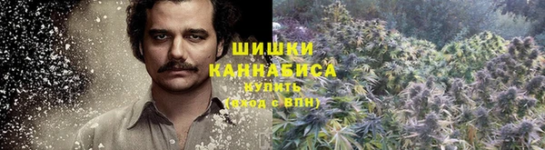 первитин Гусь-Хрустальный